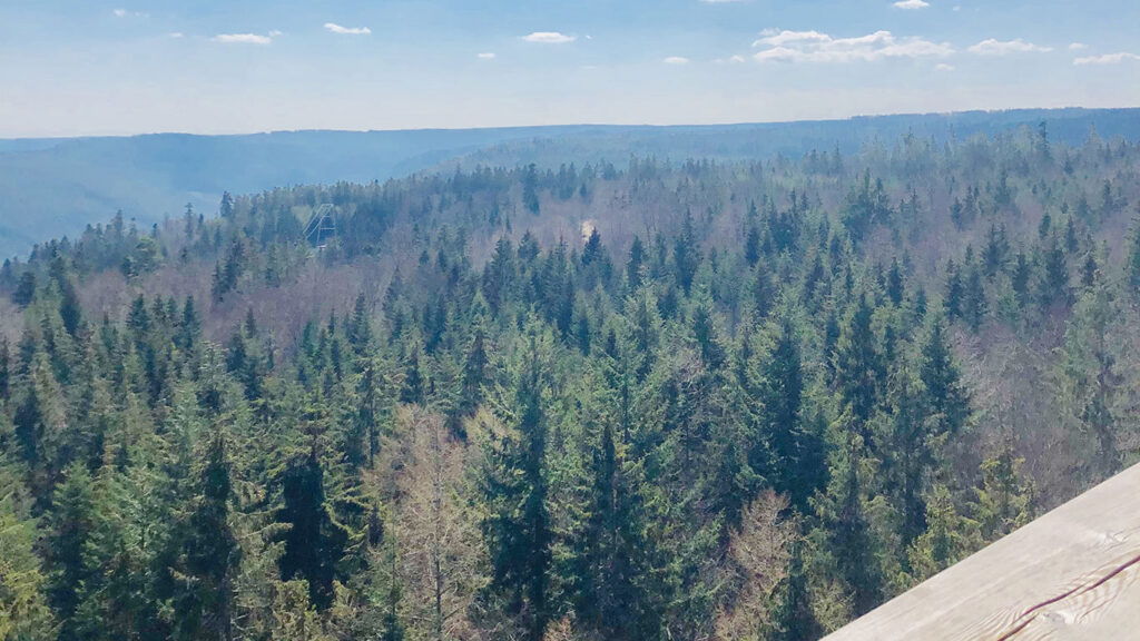 black-forest-schwarzwald-Template