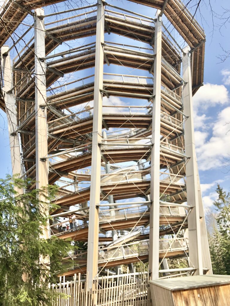 the viewing platform in the black forest