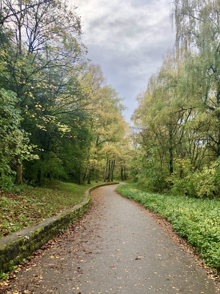 path leading up to rubble hill