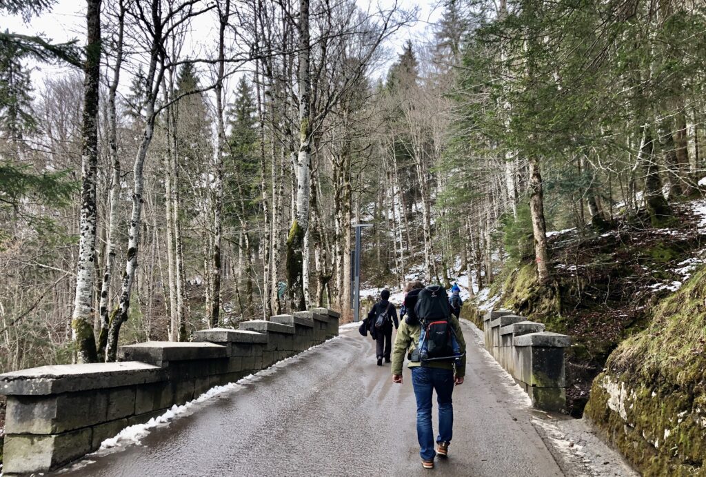 The walk up to Neuschwanstein Castle in Germany. 