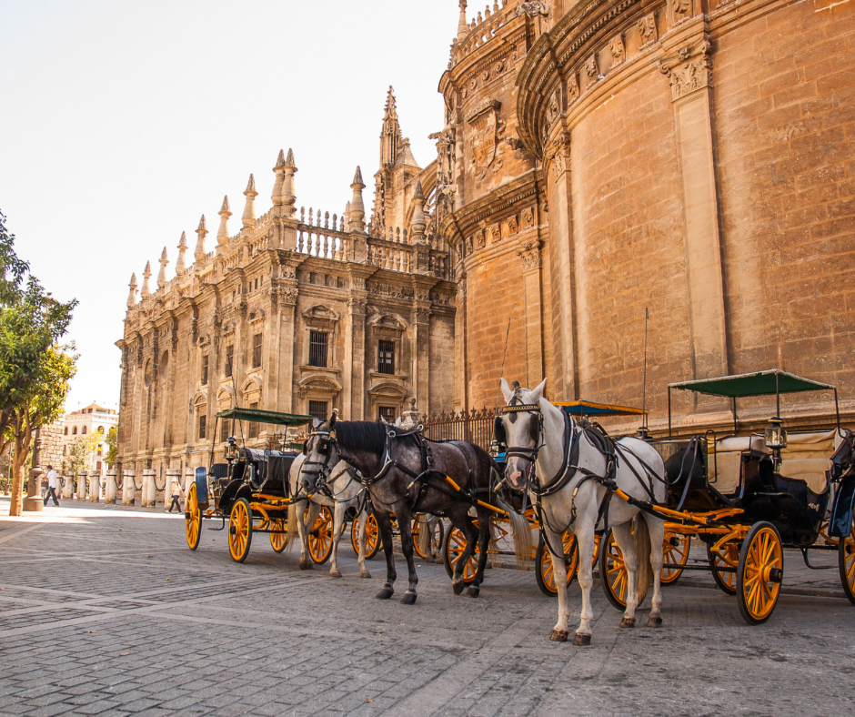 Horse-drawn carriages outside Sevillas's cathedral 