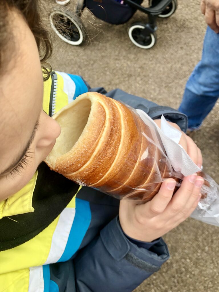 Hungarian Baumkuchen- yeast dough baked over an open fire served with sugar. A little boy eating it at the Baden-Baden Christmas market in Germany. 
